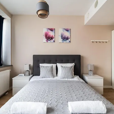 Rentplanet - Krawiecka * Wrocław